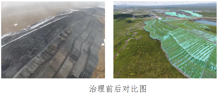 2025年奥马最新免费资料