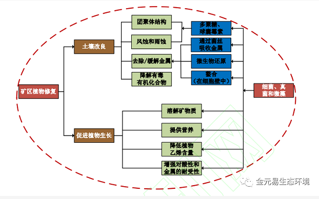 2025年奥马最新免费资料