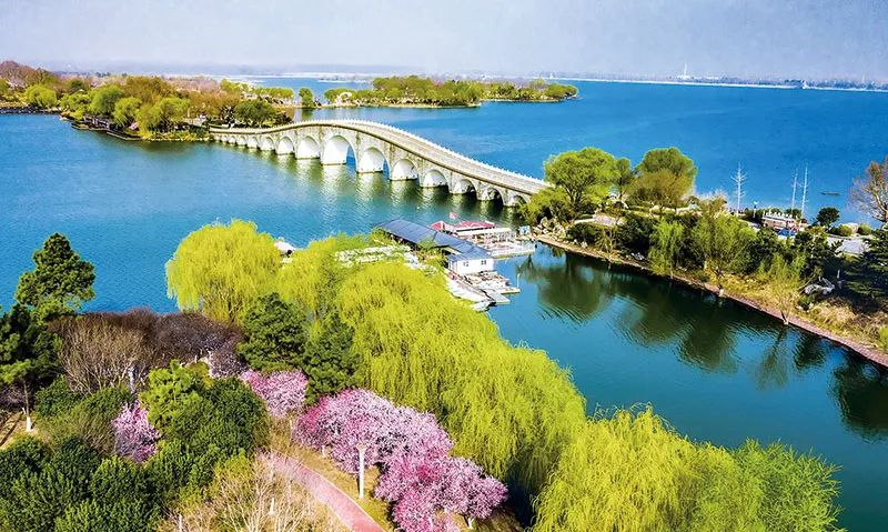2025年奥马最新免费资料