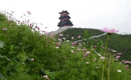 2025年奥马最新免费资料