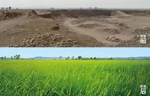 2025年奥马最新免费资料