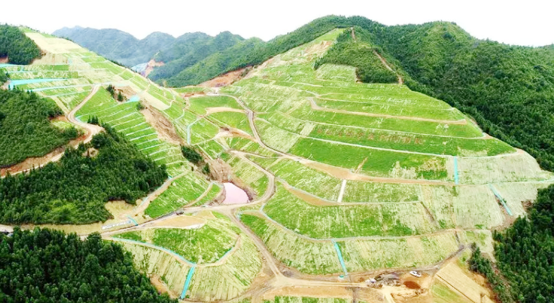 2025年奥马最新免费资料