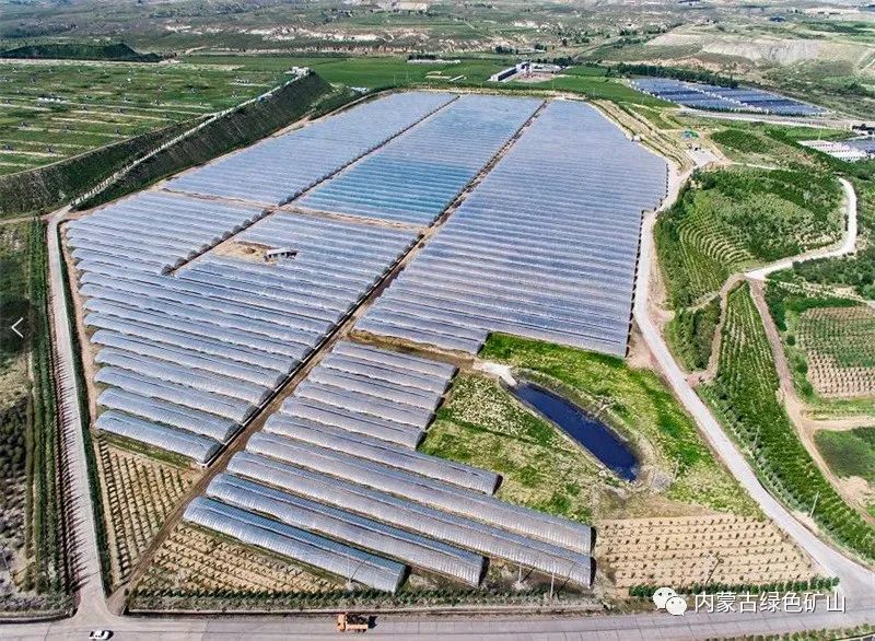 2025年奥马最新免费资料