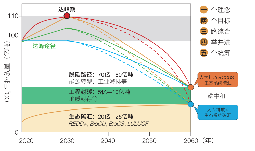 2025年奥马最新免费资料
