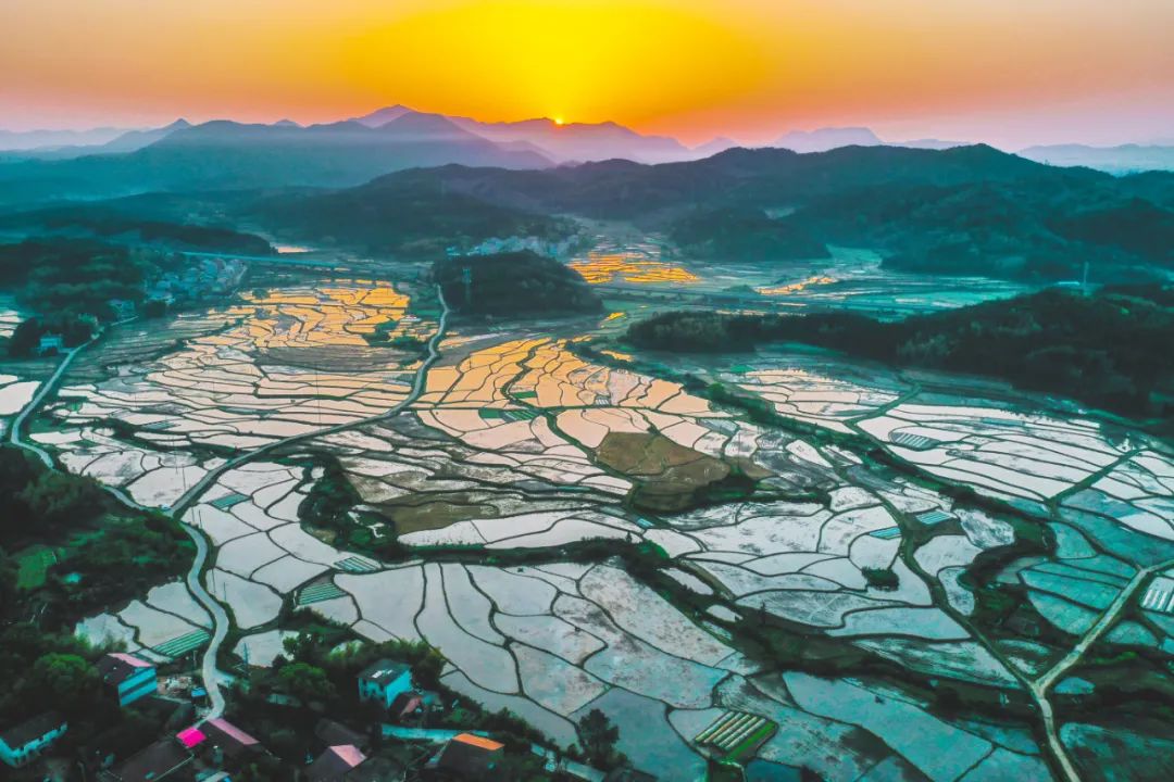 2025年奥马最新免费资料