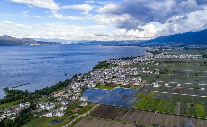 2025年奥马最新免费资料
