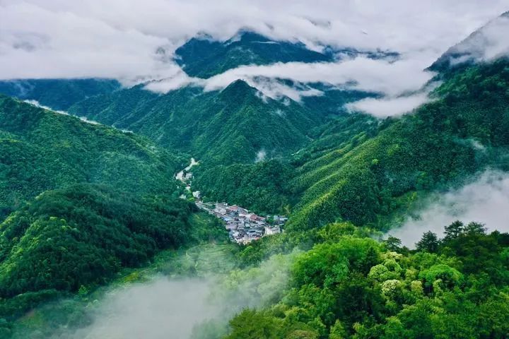 2025年奥马最新免费资料