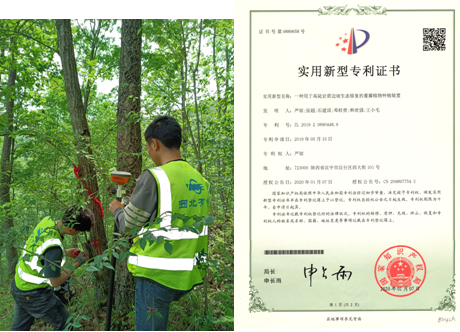 2025年奥马最新免费资料