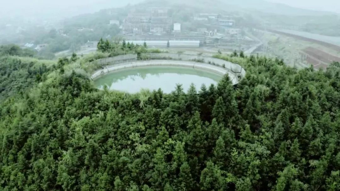 2025年奥马最新免费资料