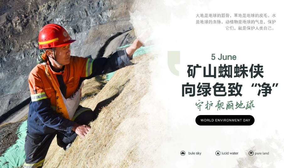 2025年奥马最新免费资料