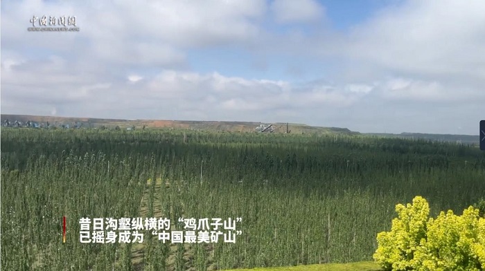 2025年奥马最新免费资料