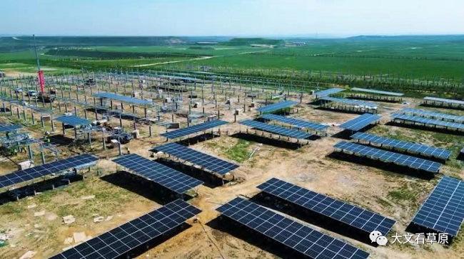 2025年奥马最新免费资料