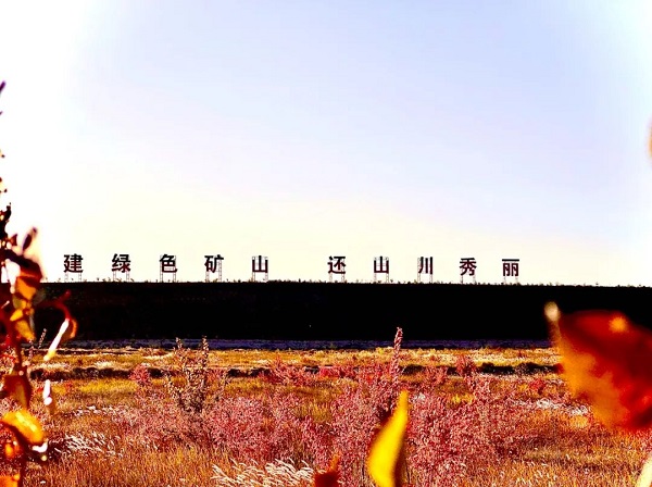 2025年奥马最新免费资料