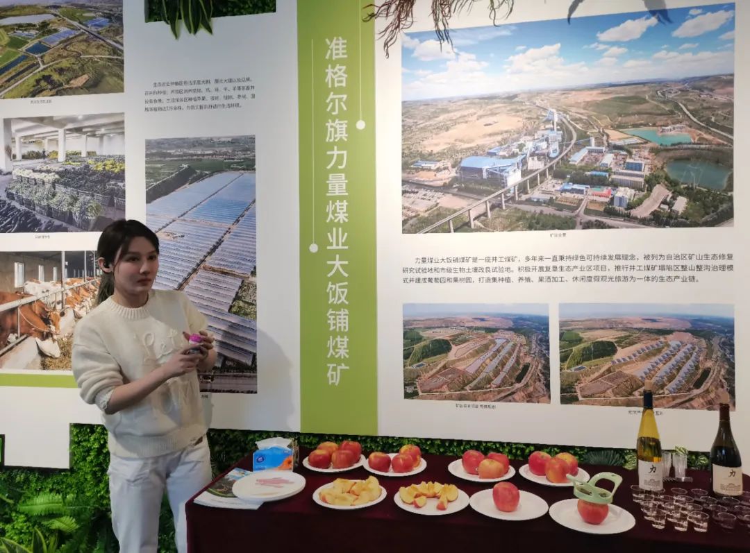 2025年奥马最新免费资料