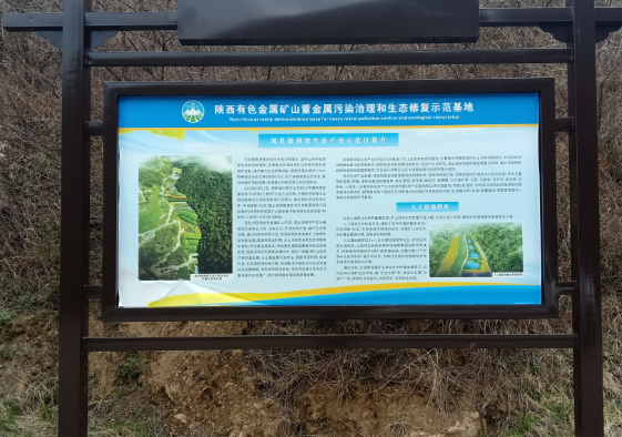 2025年奥马最新免费资料