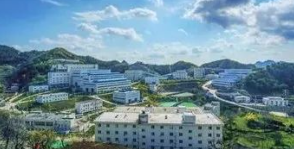 2025年奥马最新免费资料