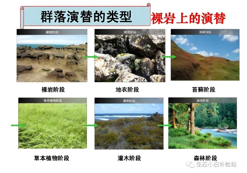 2025年奥马最新免费资料