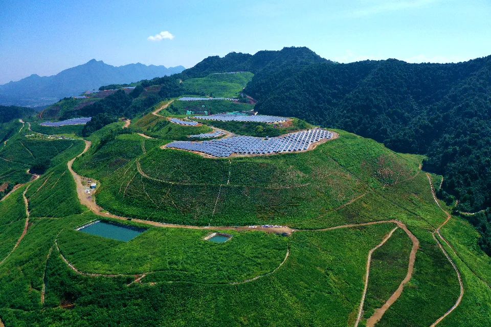 2025年奥马最新免费资料