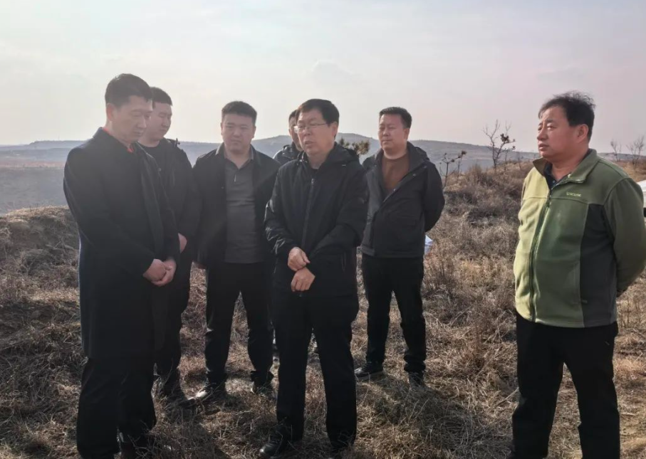 2025年奥马最新免费资料