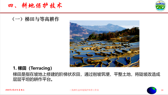 2025年奥马最新免费资料