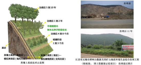 2025年奥马最新免费资料