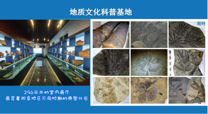 2025年奥马最新免费资料