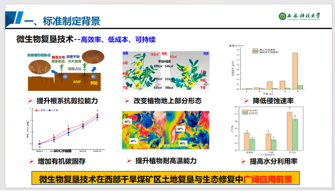 2025年奥马最新免费资料