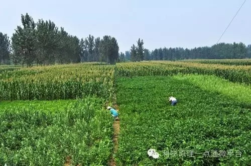 2025年奥马最新免费资料