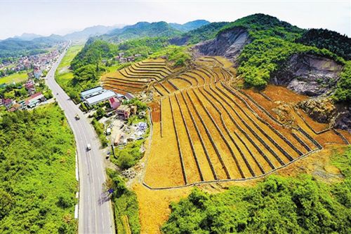 2025年奥马最新免费资料