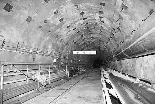 2025年奥马最新免费资料