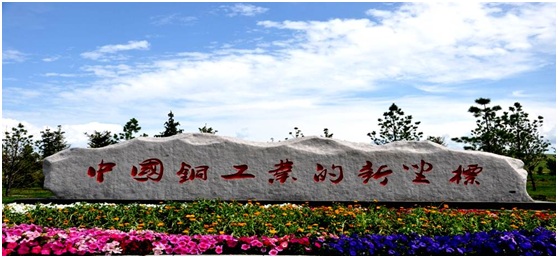 2025年奥马最新免费资料