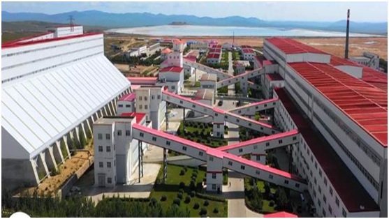 2025年奥马最新免费资料