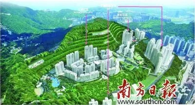 2025年奥马最新免费资料